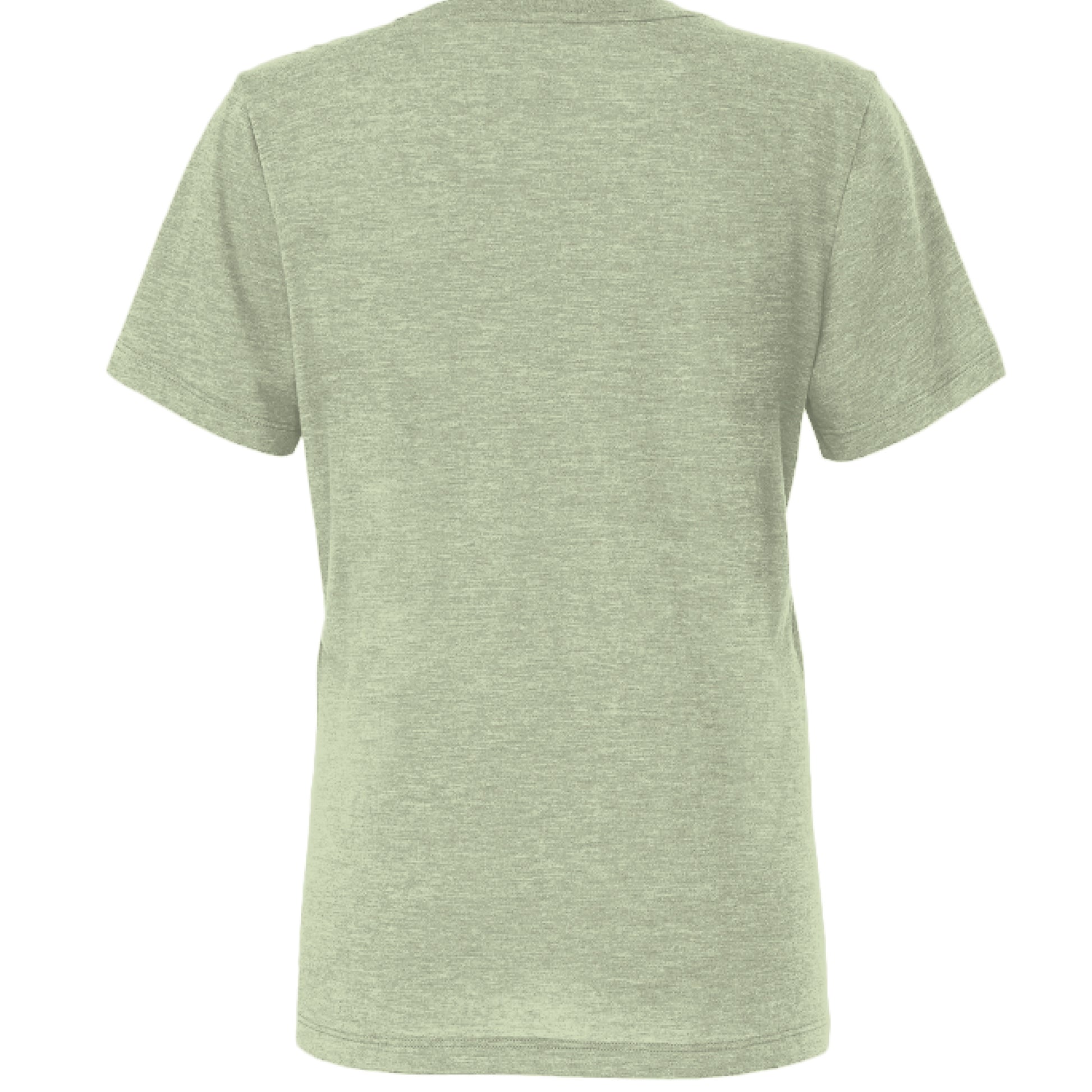 Spring Green Triblend - BACK